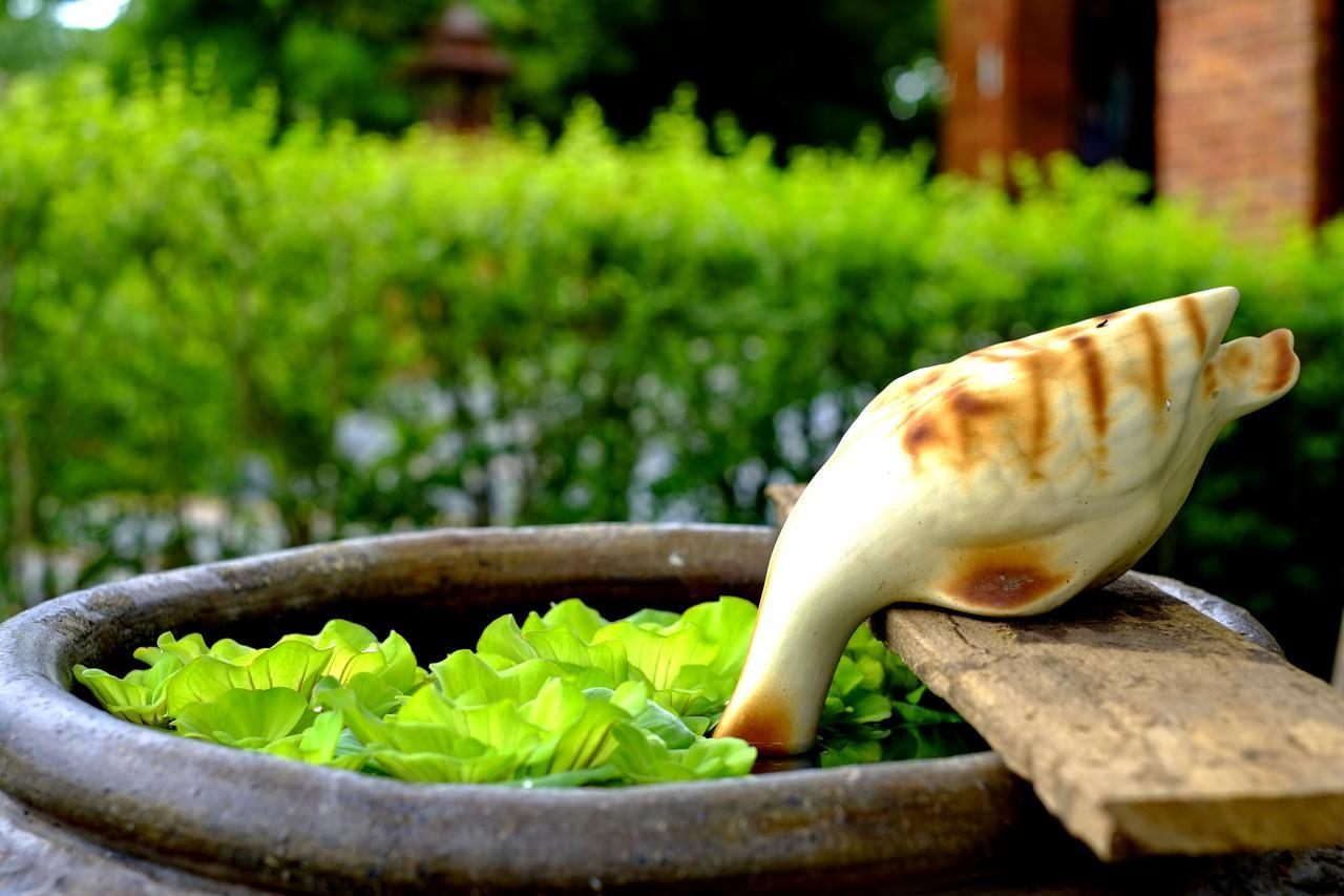 Sawasdee Sukhothai Resort Exterior photo